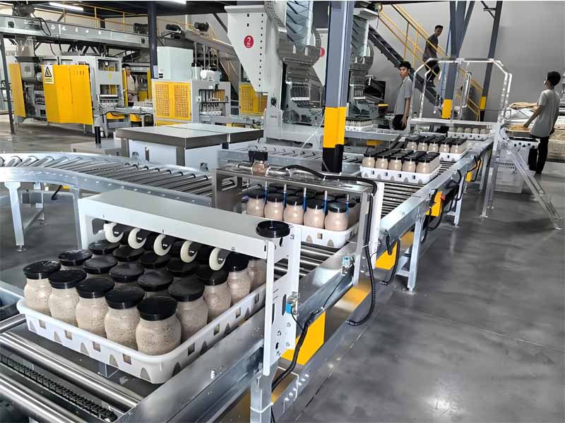 Why Facilities Matter in Modern Mushroom Cultivation