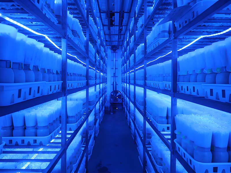 Optimizing Mushroom Growth with Intelligent Climate Control