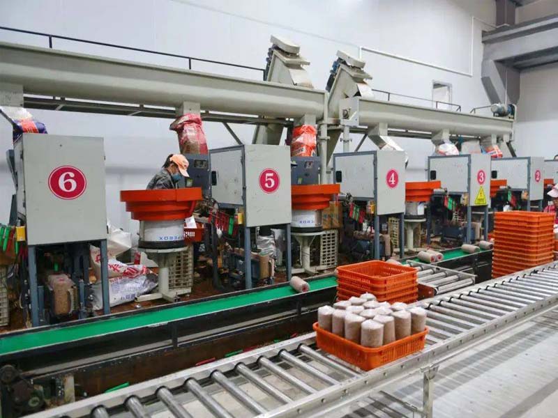 How to Choose the Right Mushroom Bagging Machine for Your Farm