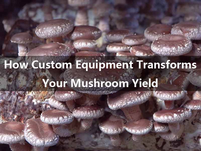 Satrise Custom Mushroom Equipment for Every Farm