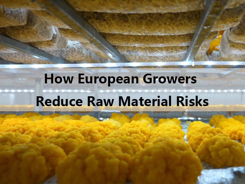 How European Growers Reduce Raw Material Risks