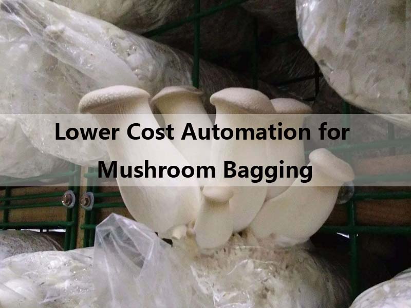 Modular Bagging for Bag-Cultivated Mushrooms